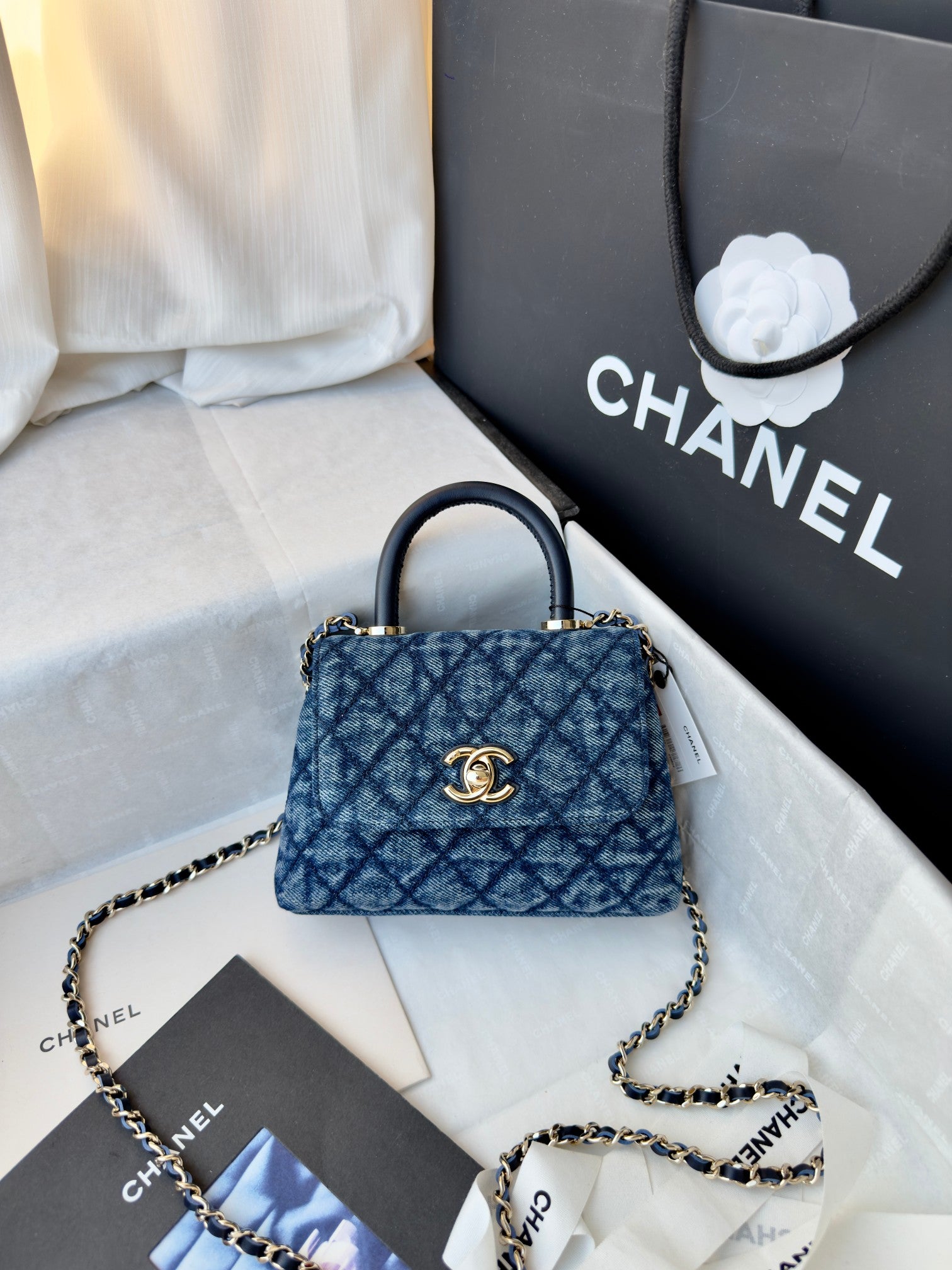 Mini Coco Handle Flap Bag
